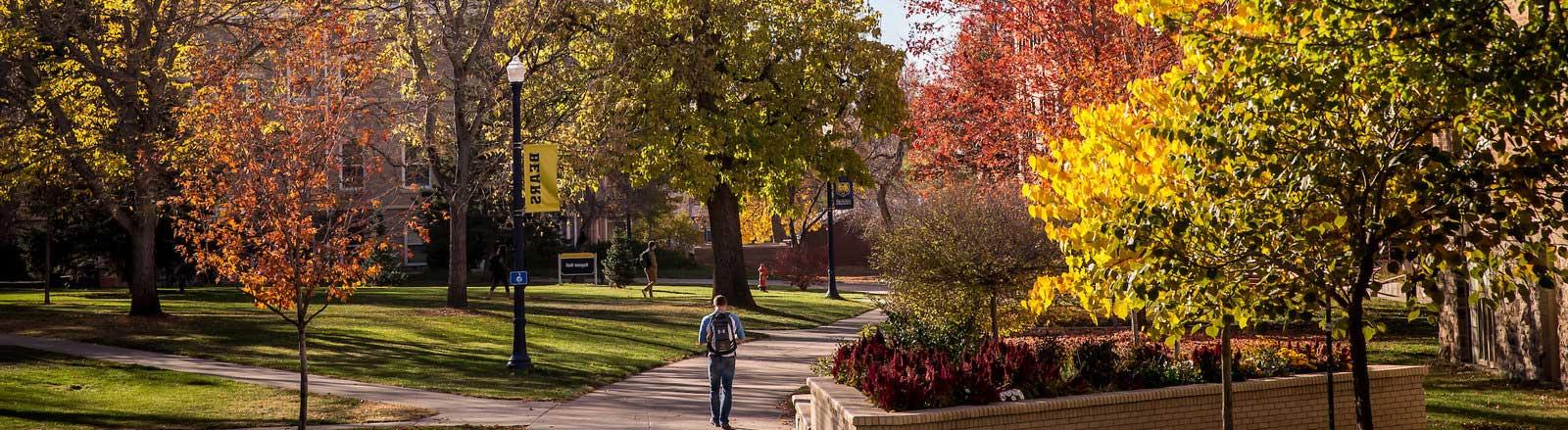 Fall at UNC